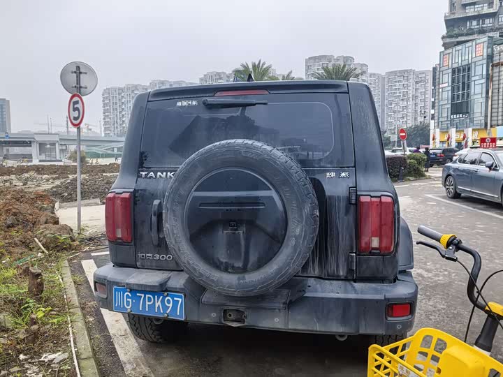 Фото 3 - Tank 300