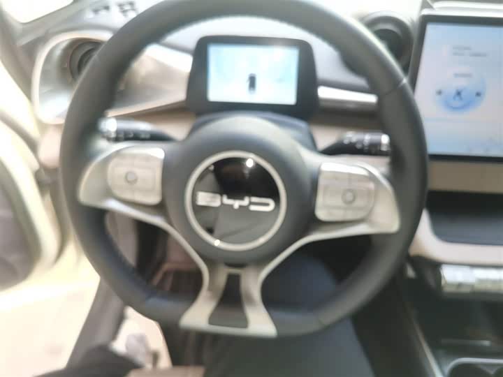 Фото 11 - BYD Dolphin