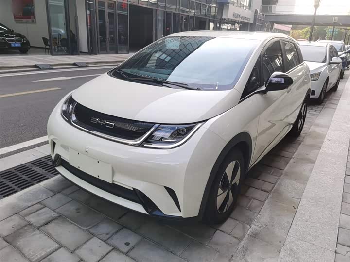 Фото 2 - BYD Dolphin