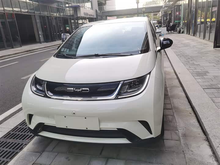 Фото 3 - BYD Dolphin