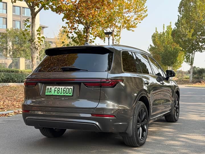 Фото 10 - LiXiang One