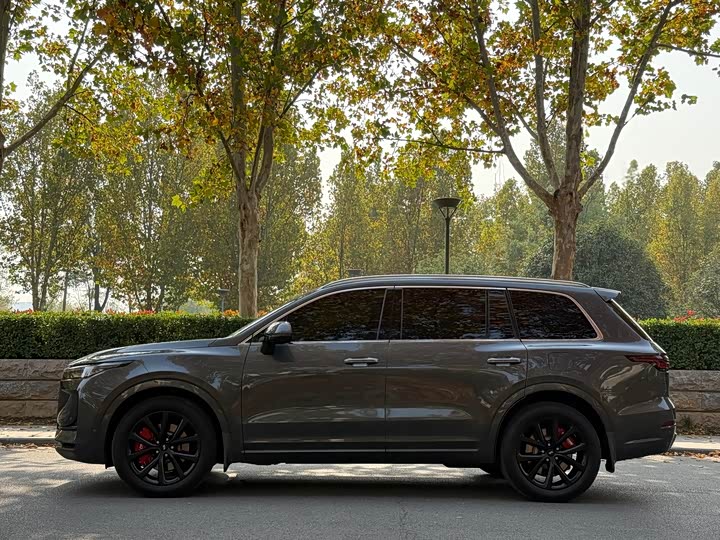 Фото 8 - LiXiang One