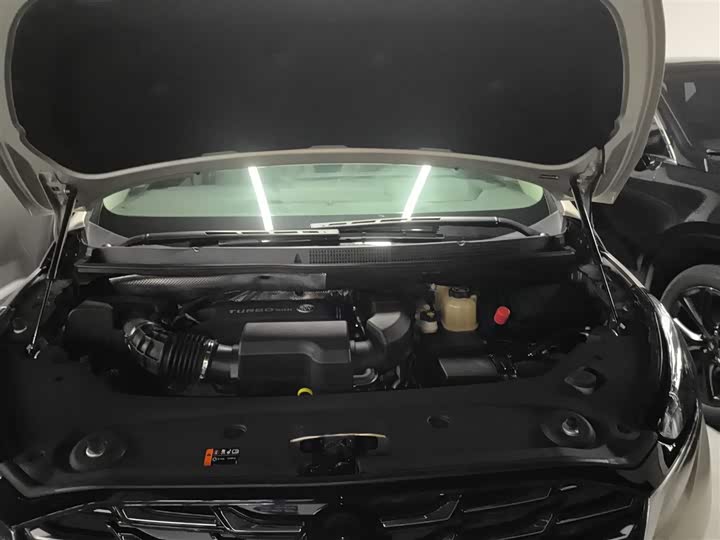 Фото 19 - Buick GL8 ES