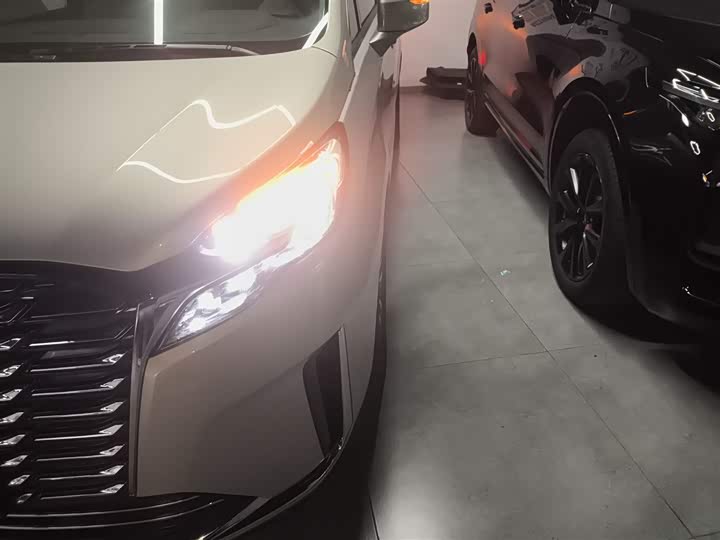 Фото 23 - Buick GL8 ES