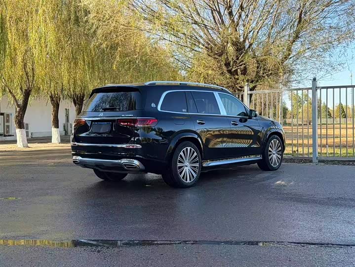 Фото 6 - Mercedes-Benz Maybach GLS