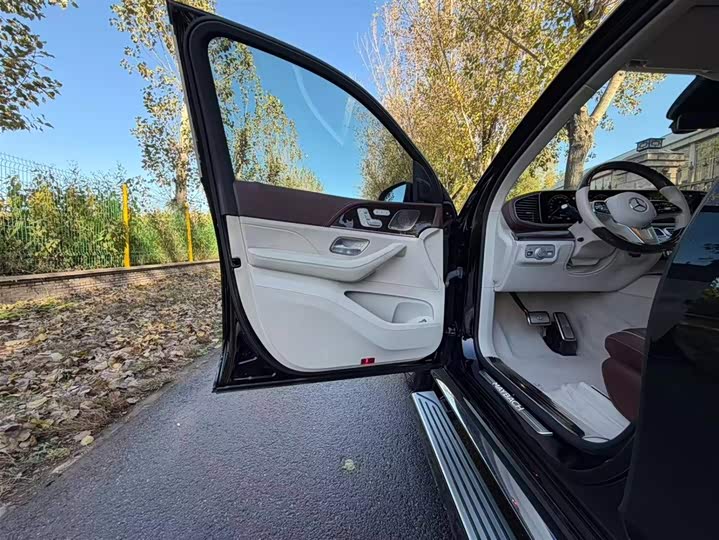 Фото 8 - Mercedes-Benz Maybach GLS