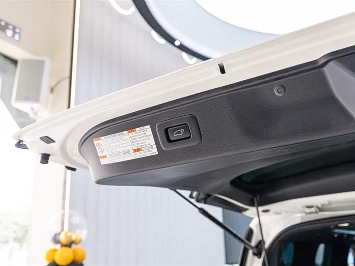 Фото 10 - Toyota Alphard