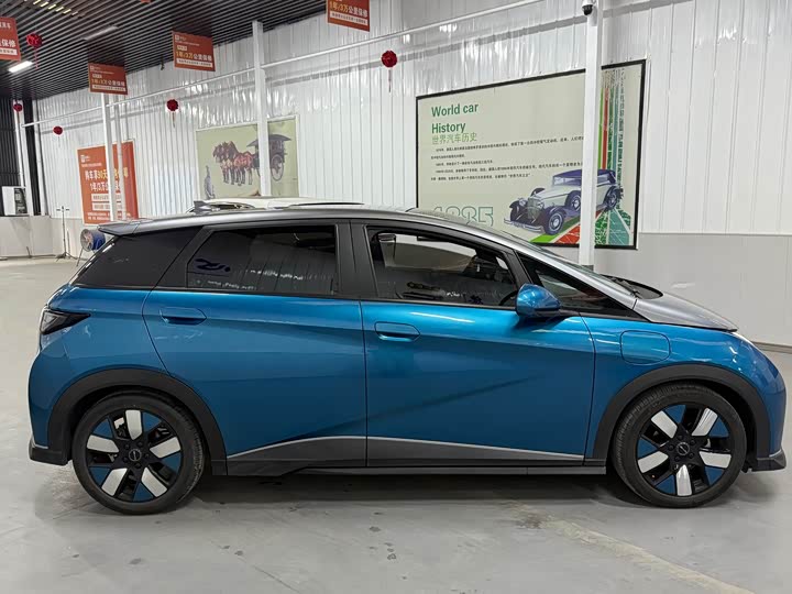 Фото 3 - BYD Dolphin