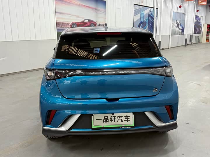 Фото 4 - BYD Dolphin