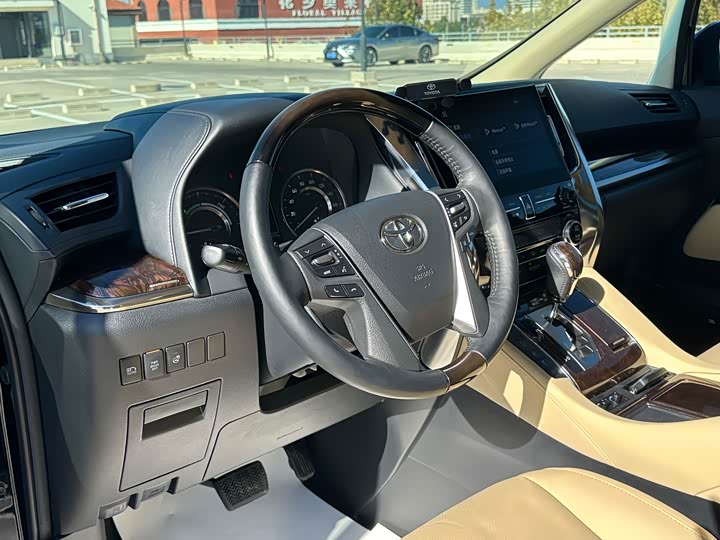 Фото 10 - Toyota Alphard