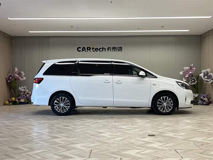 Фото 4 - Buick GL8 ES