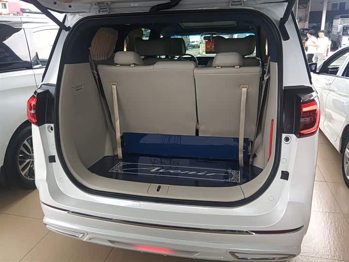 Фото 19 - Buick GL8 ES