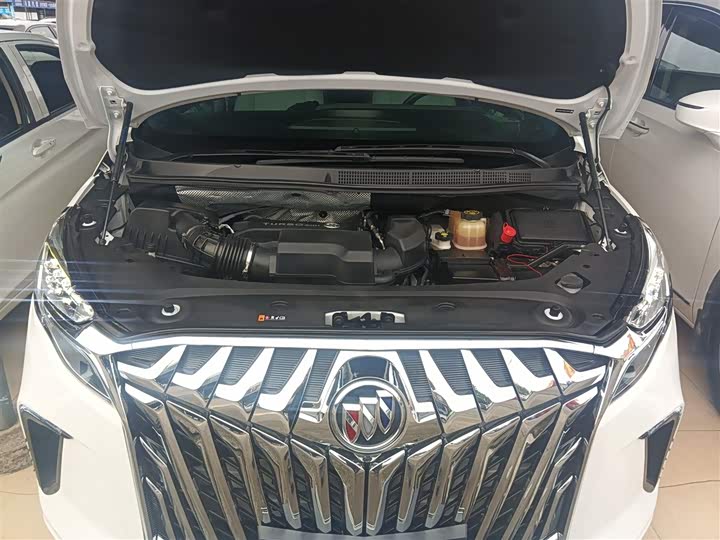 Фото 20 - Buick GL8 ES