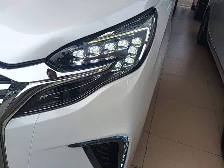 Фото 24 - Buick GL8 ES