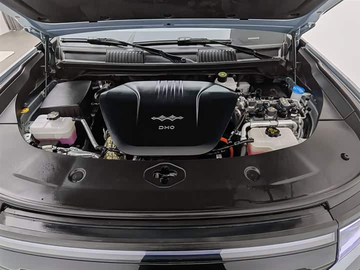 Фото 6 - BYD FangChengBao Leopard 8