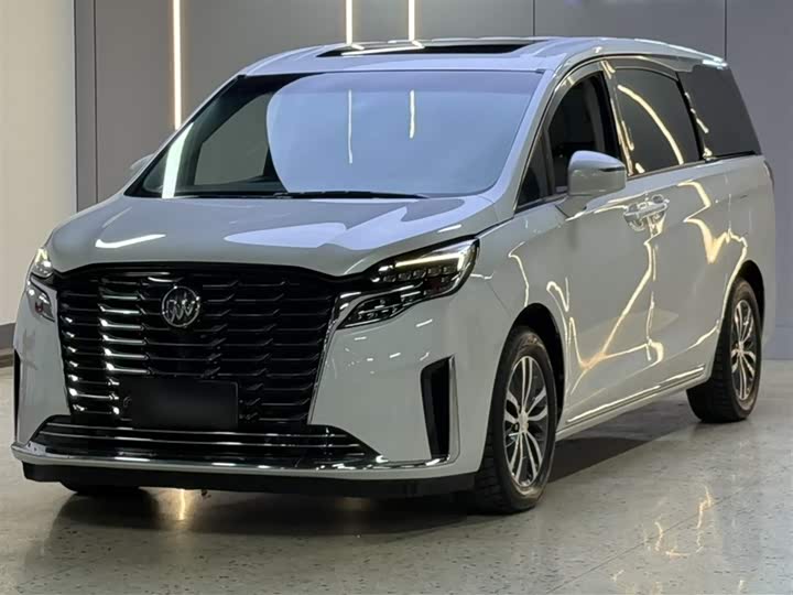 Фото 1 - Buick GL8 ES