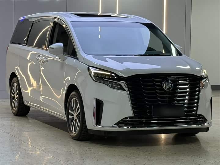 Фото 12 - Buick GL8 ES