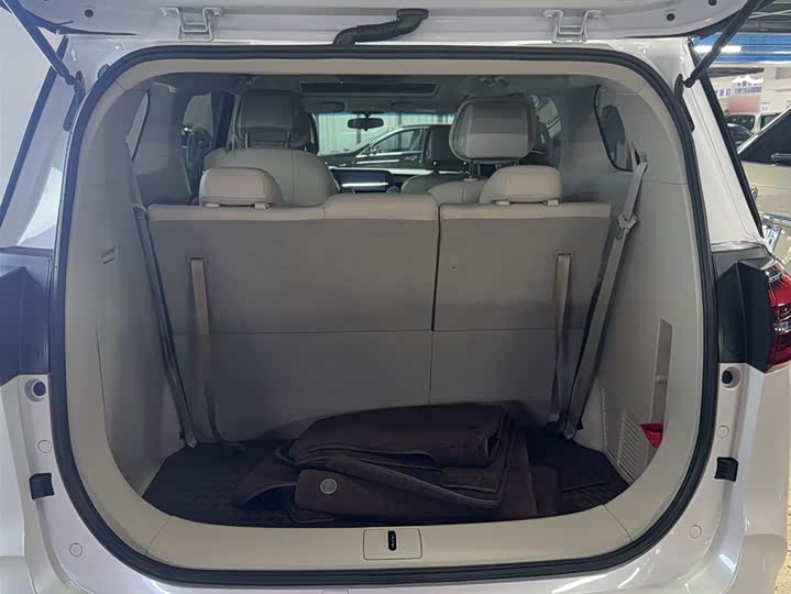 Фото 18 - Buick GL8 ES