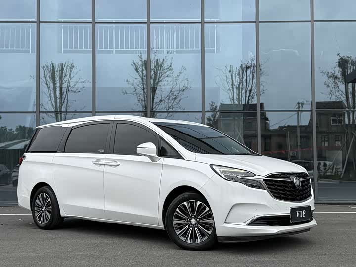 Фото 2 - Buick GL8 ES