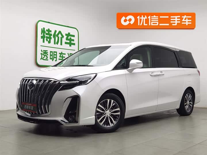 Фото 1 - Buick GL8 ES