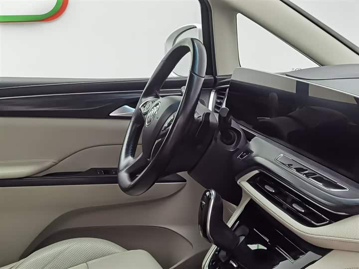 Фото 22 - Buick GL8 ES