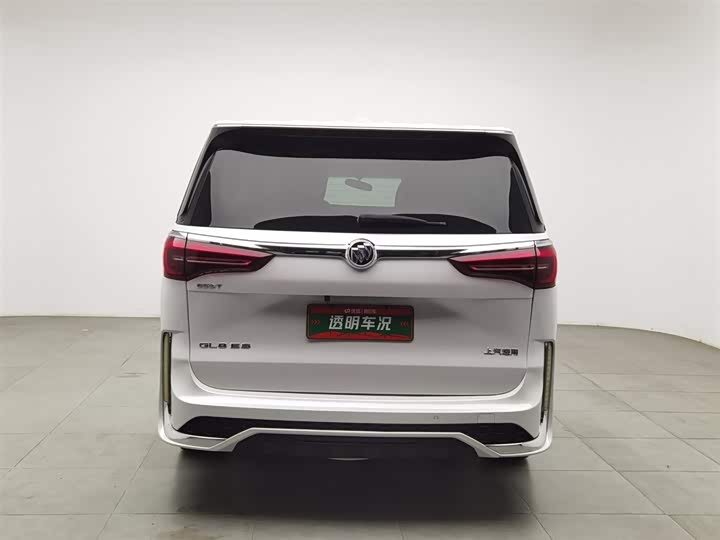 Фото 4 - Buick GL8 ES