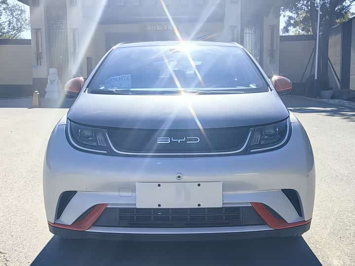 Фото 1 - BYD Dolphin