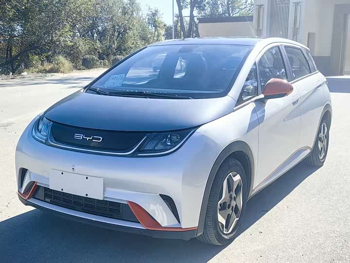 Фото 2 - BYD Dolphin