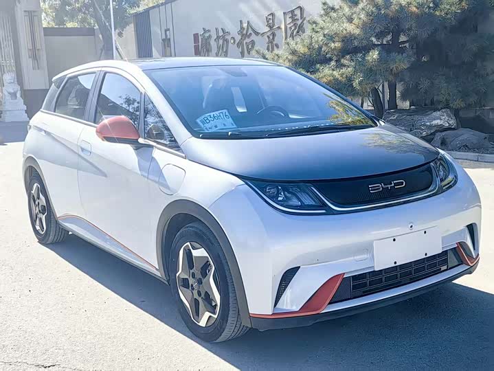 Фото 3 - BYD Dolphin