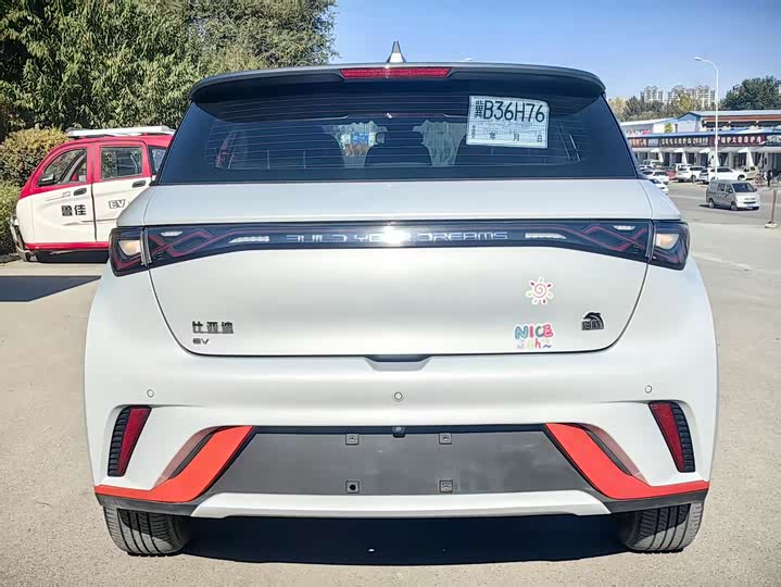 Фото 4 - BYD Dolphin