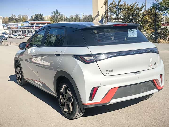 Фото 6 - BYD Dolphin