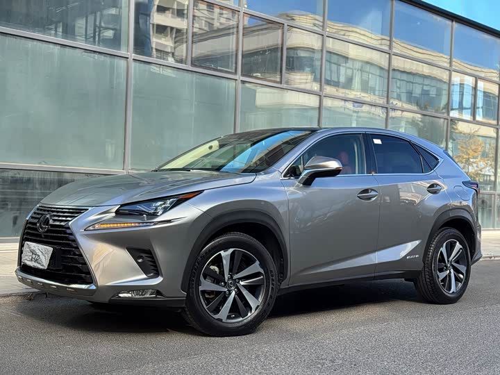 Фото 1 - Lexus NX