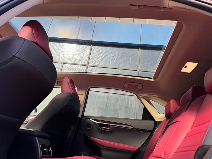 Фото 16 - Lexus NX