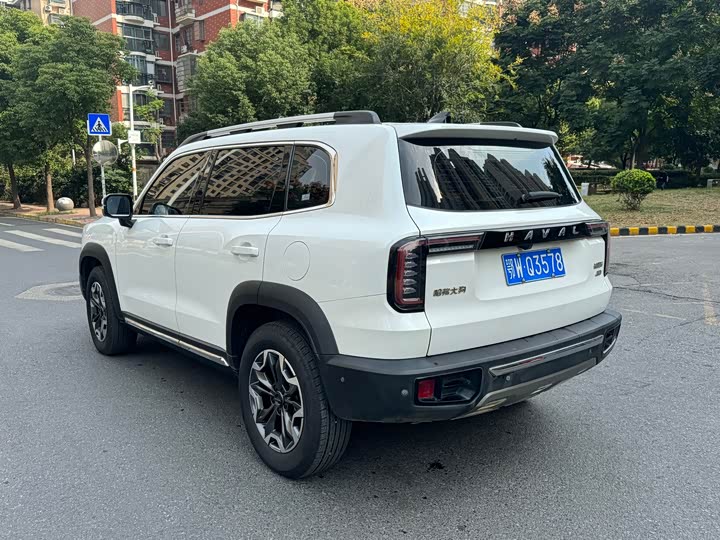 Фото 4 - Haval Dargo