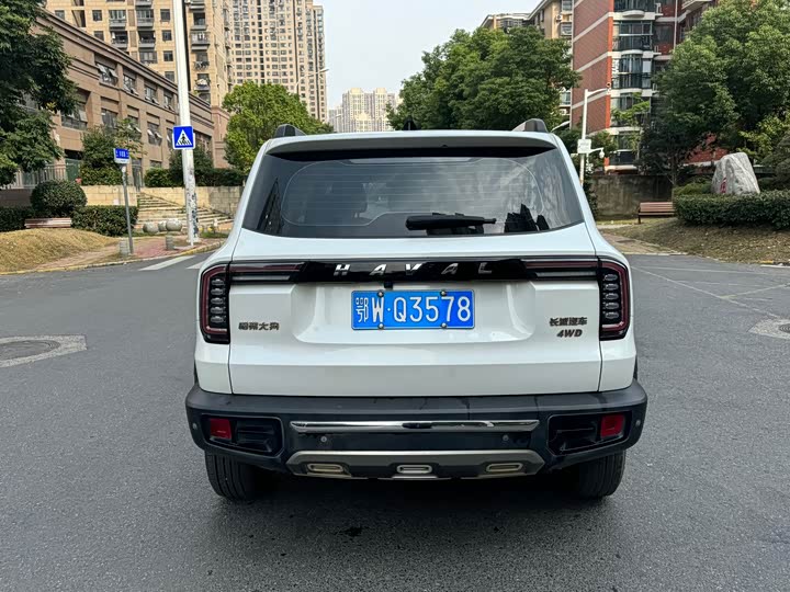 Фото 5 - Haval Dargo