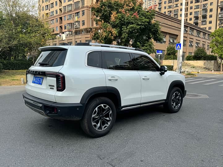 Фото 7 - Haval Dargo