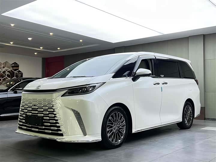 Фото 1 - Lexus LM