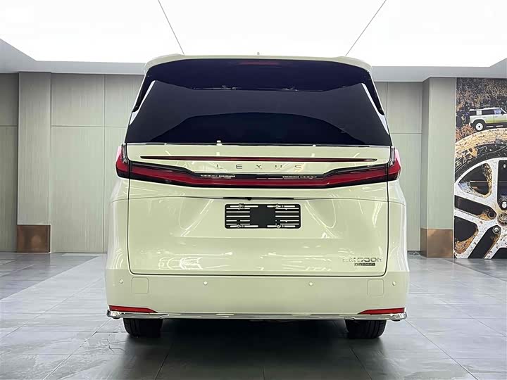 Фото 5 - Lexus LM