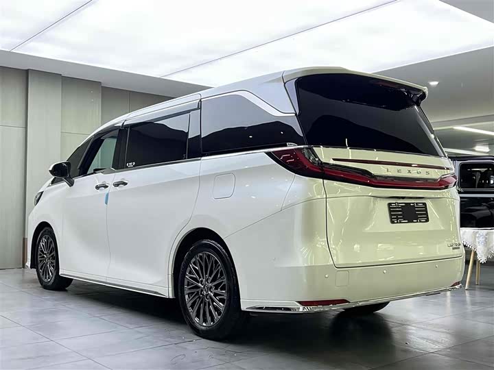 Фото 6 - Lexus LM