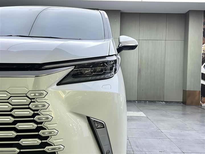 Фото 7 - Lexus LM