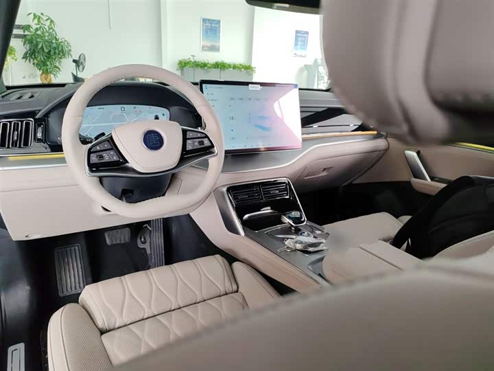 Фото 10 - BYD Tang Hybrid/EV