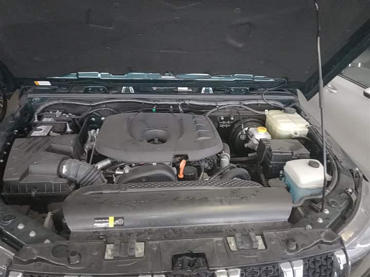 Фото 20 - BAIC Beijing BJ40