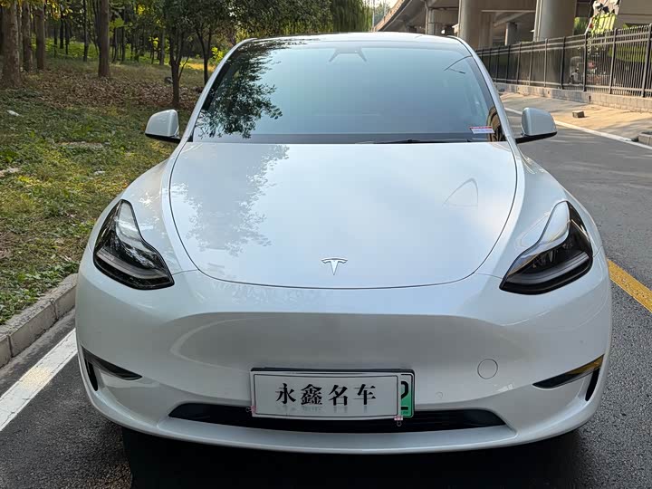 Фото 2 - Tesla Model Y