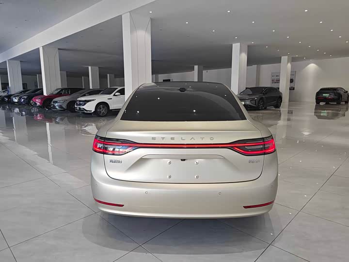 Фото 5 - Stelato S9