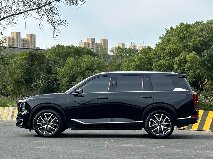 Фото 4 - GAC Trumpchi GS8