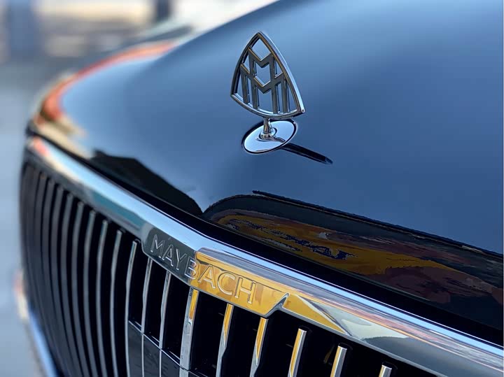 Фото 13 - Mercedes-Benz Maybach GLS