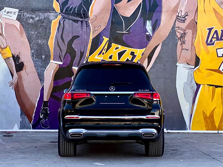 Фото 5 - Mercedes-Benz Maybach GLS