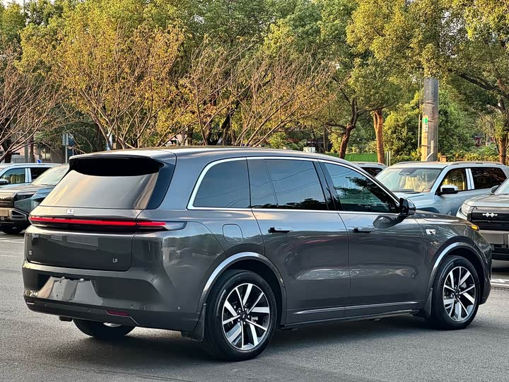 Фото 14 - LiXiang L8