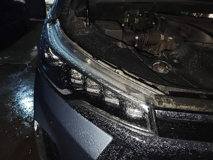 Фото 30 - Maxus G20