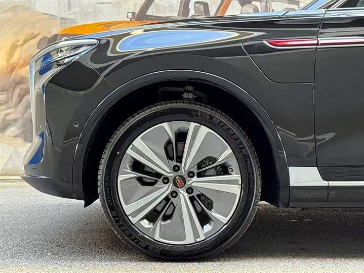 Фото 6 - Hongqi E-HS9